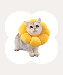 Flower Styled Cat Cone