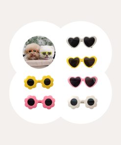 Pet Sunglasses