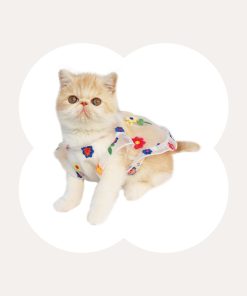 Flower Embroidery Cat Dress