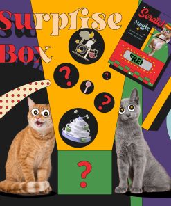 Surprise Box-Journey Beyond Sight