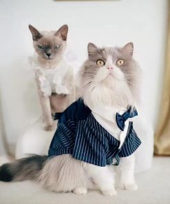 Stylish Cat Wedding Tuxedo