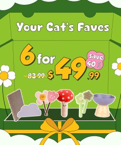 Playful Paws Box: 6 Fun Picks for Cats