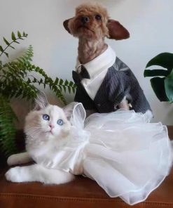 Charming Cat Wedding Gown with Bow