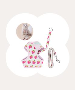 Fruit Series Cat Leashes and Harnesses