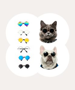 Super Cool Pet Glasses