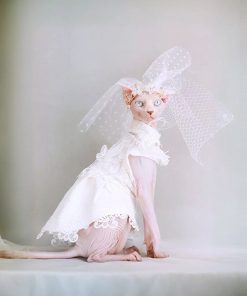 Elegant Cat Wedding Dress with Veil