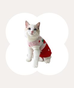 Strawberry Heart Cat Sweater