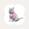 Rainbow Series Tie-Dye Cat Clothes