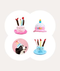 Pet Happy Birthday Hat