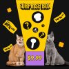 Pawsitive Surprise Box