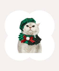 Octagon Hat for Cats