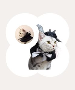 Bat Wing Cape with Hood for Cats