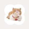 Chirimen Cat Collar