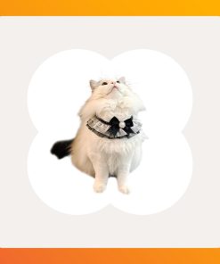 Black Bow Cat Bib