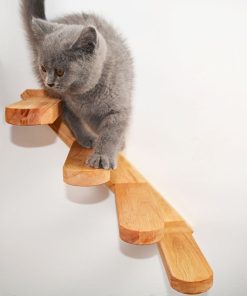 Cat Climbing Platform